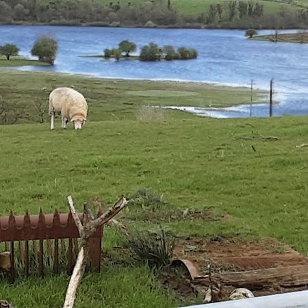 Hawthorn Lodge Belturbet エクステリア 写真