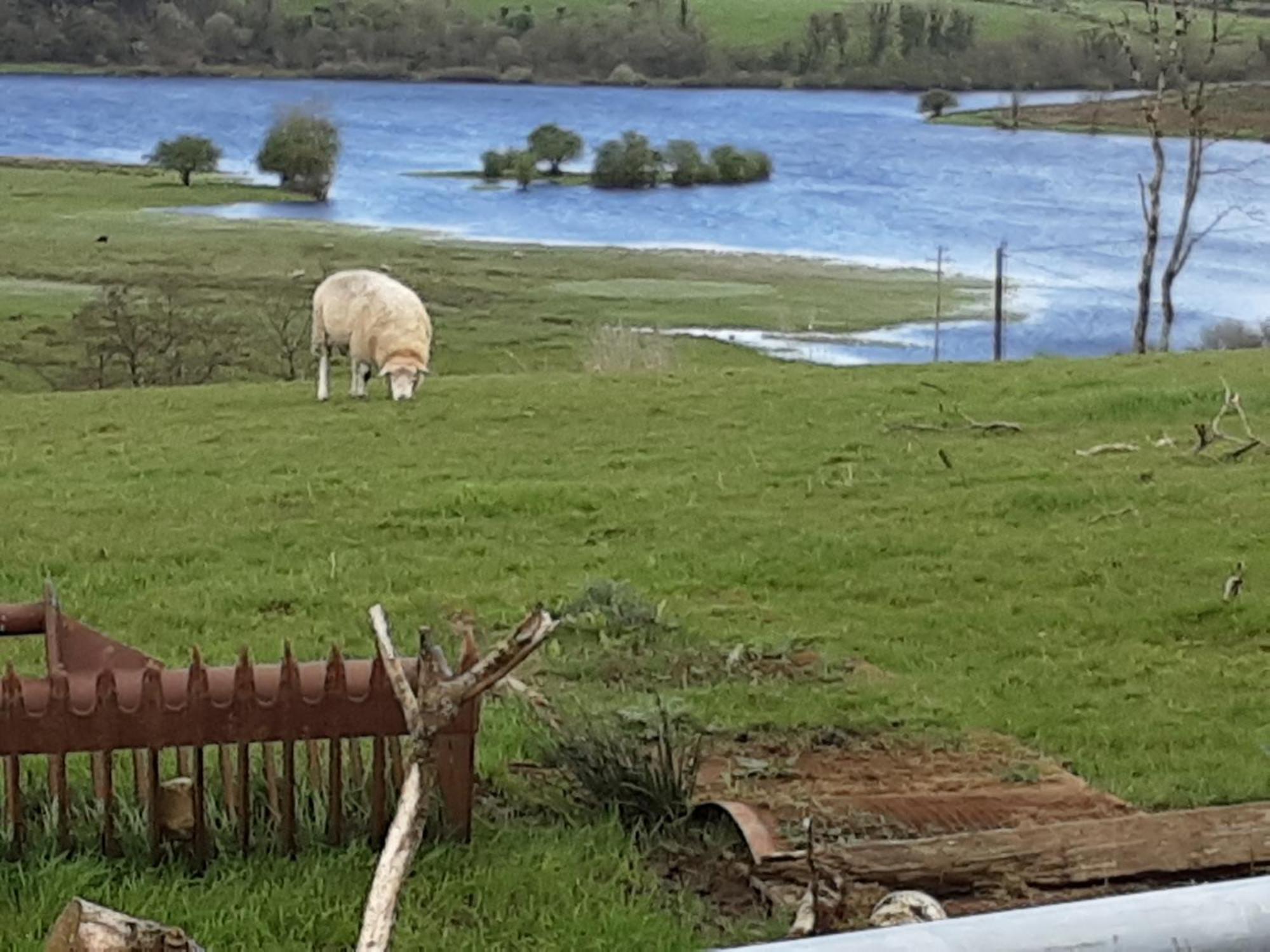 Hawthorn Lodge Belturbet エクステリア 写真