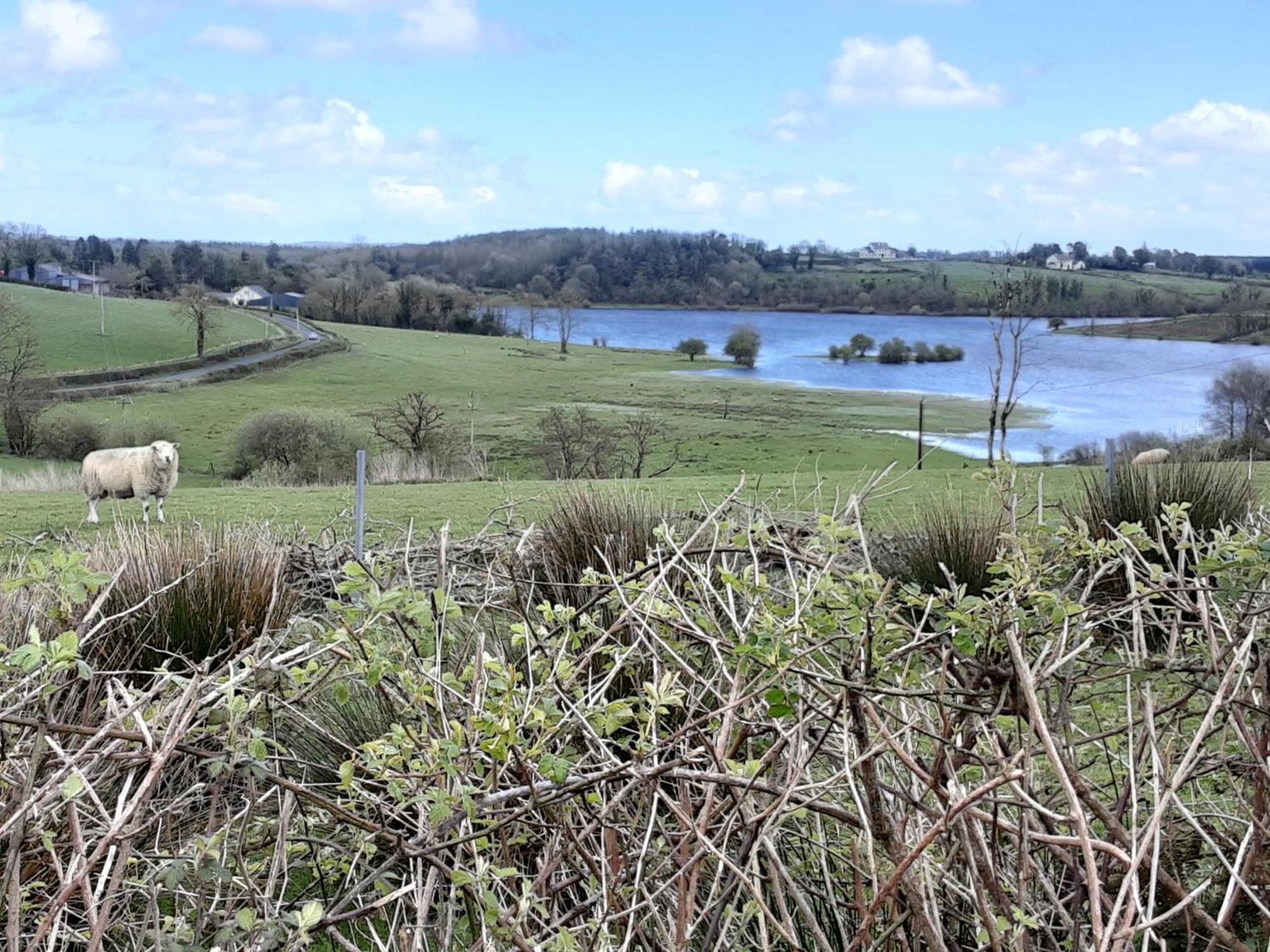 Hawthorn Lodge Belturbet エクステリア 写真